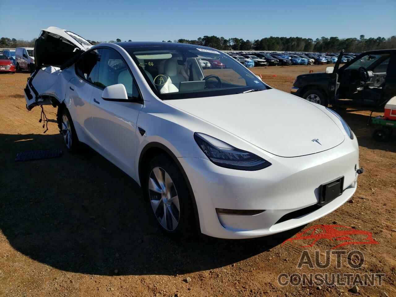 TESLA MODEL Y 2021 - 5YJYGDEE5MF240775
