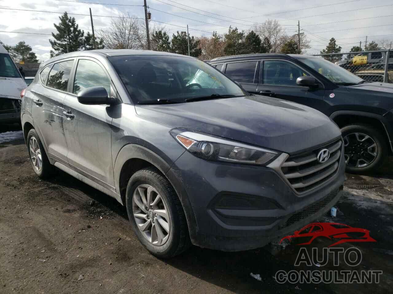 HYUNDAI TUCSON 2017 - KM8J23A41HU402370