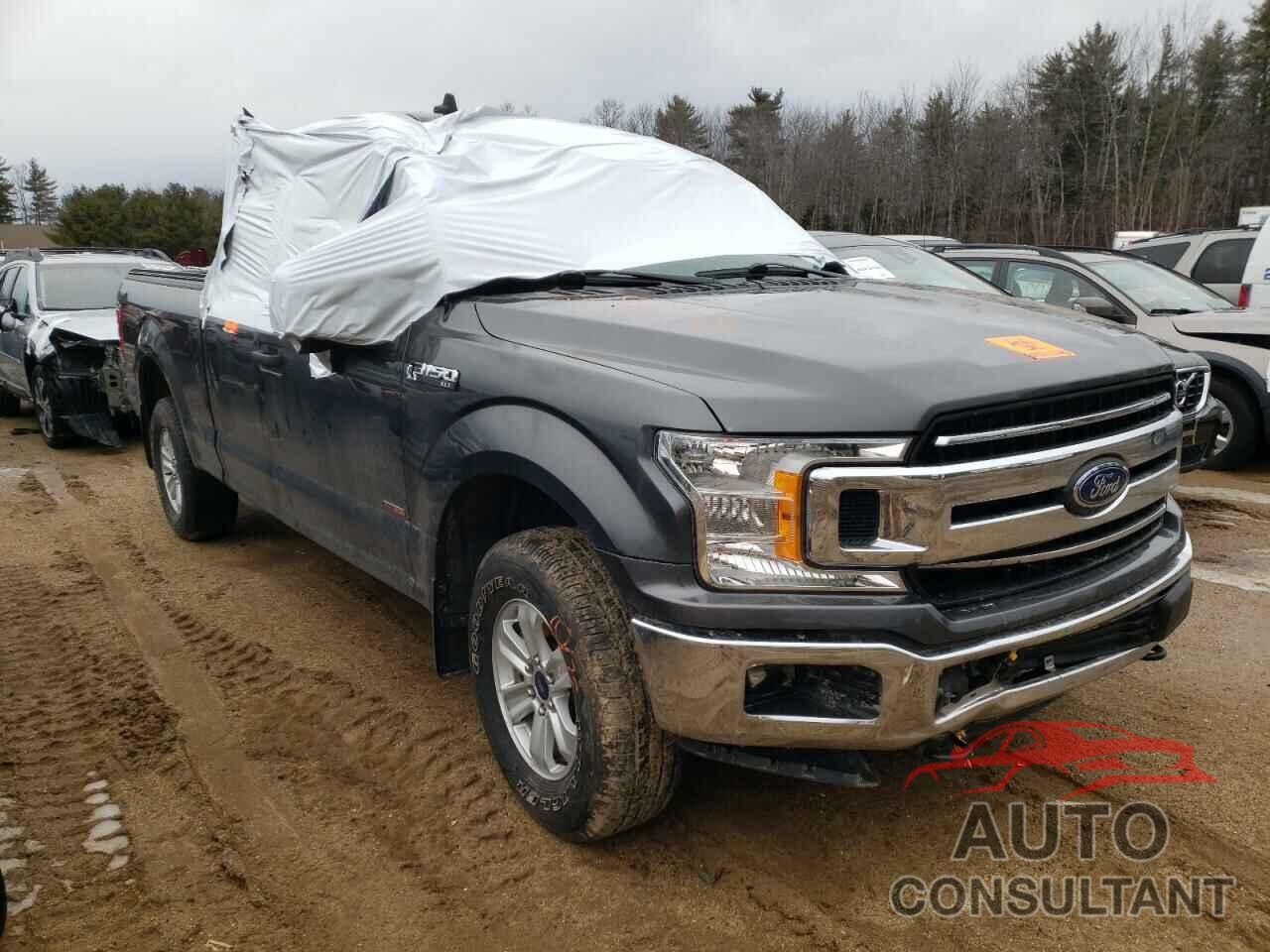 FORD F-150 2019 - 1FTFX1E52KKC06458