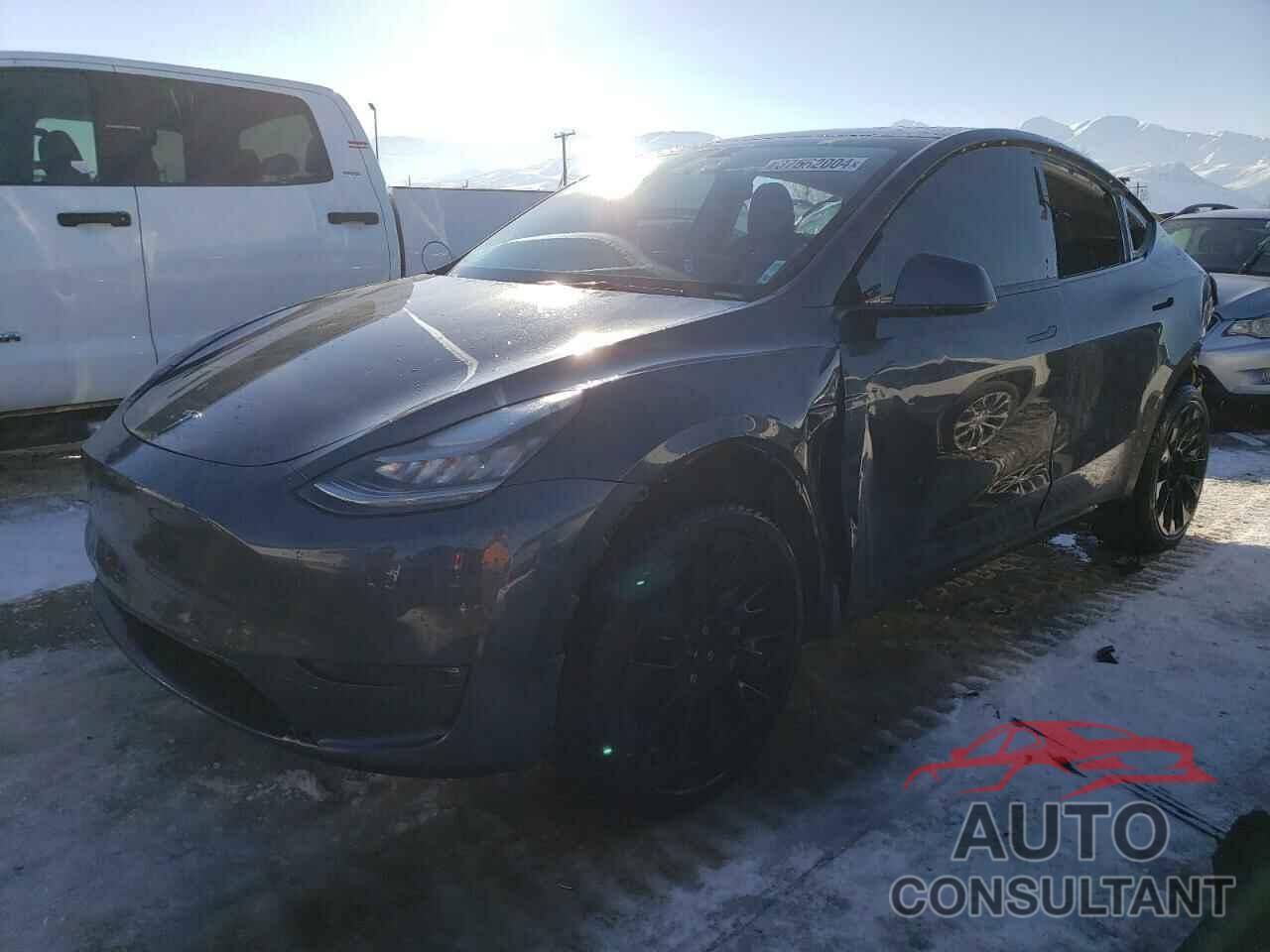 TESLA MODEL Y 2021 - 5YJYGDEE1MF137871