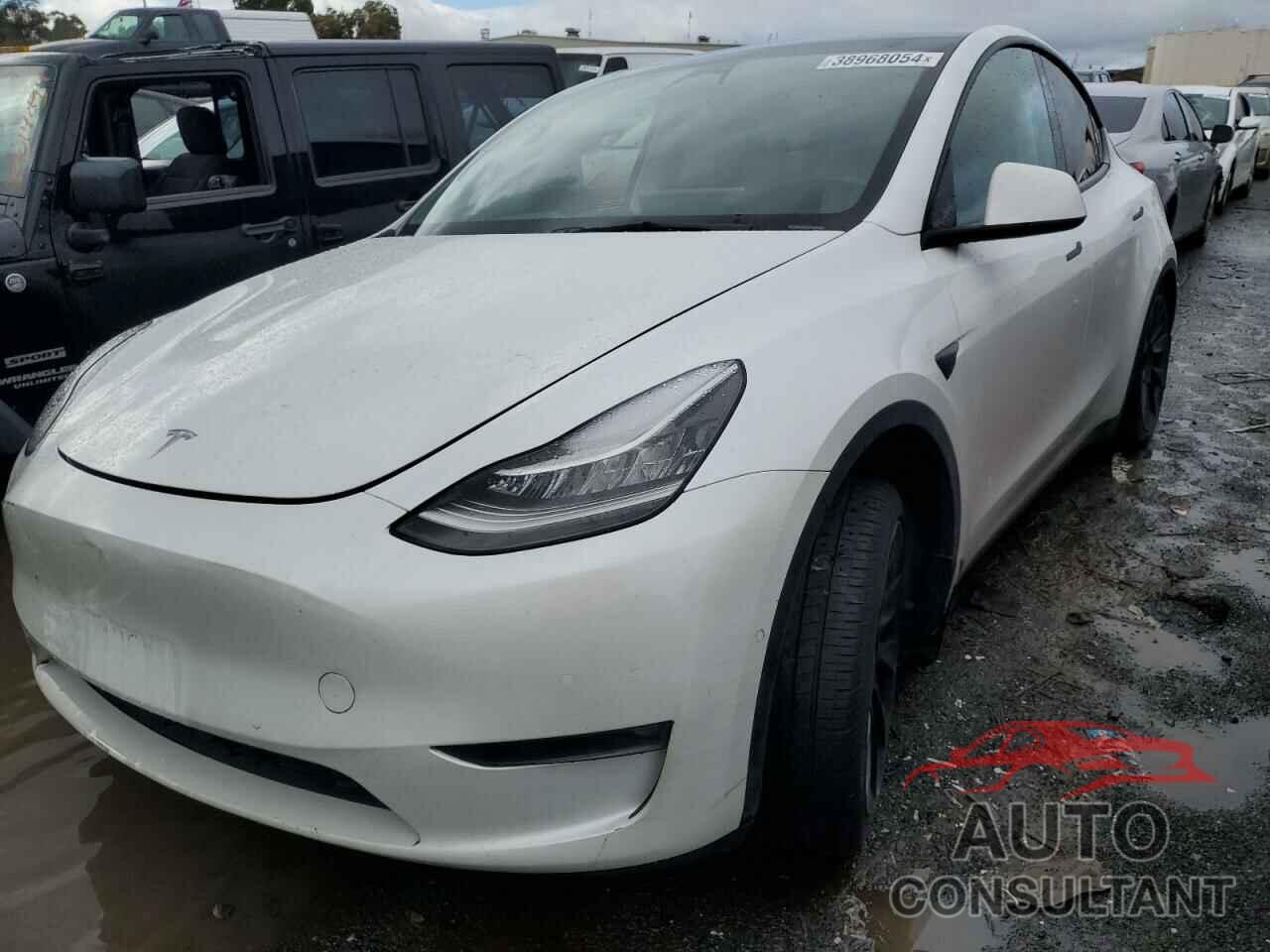 TESLA MODEL Y 2022 - 7SAYGDEE1NF495976