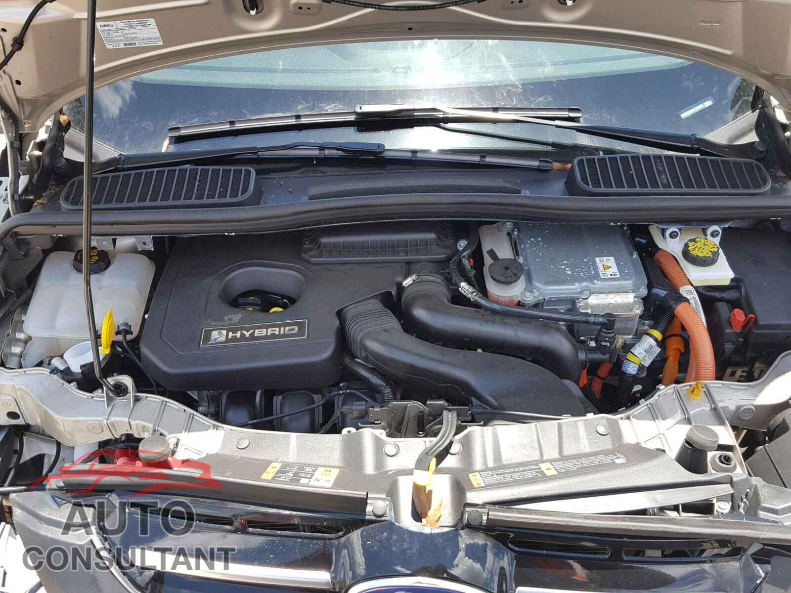 FORD CMAX 2017 - 1FADP5DU2HL106389