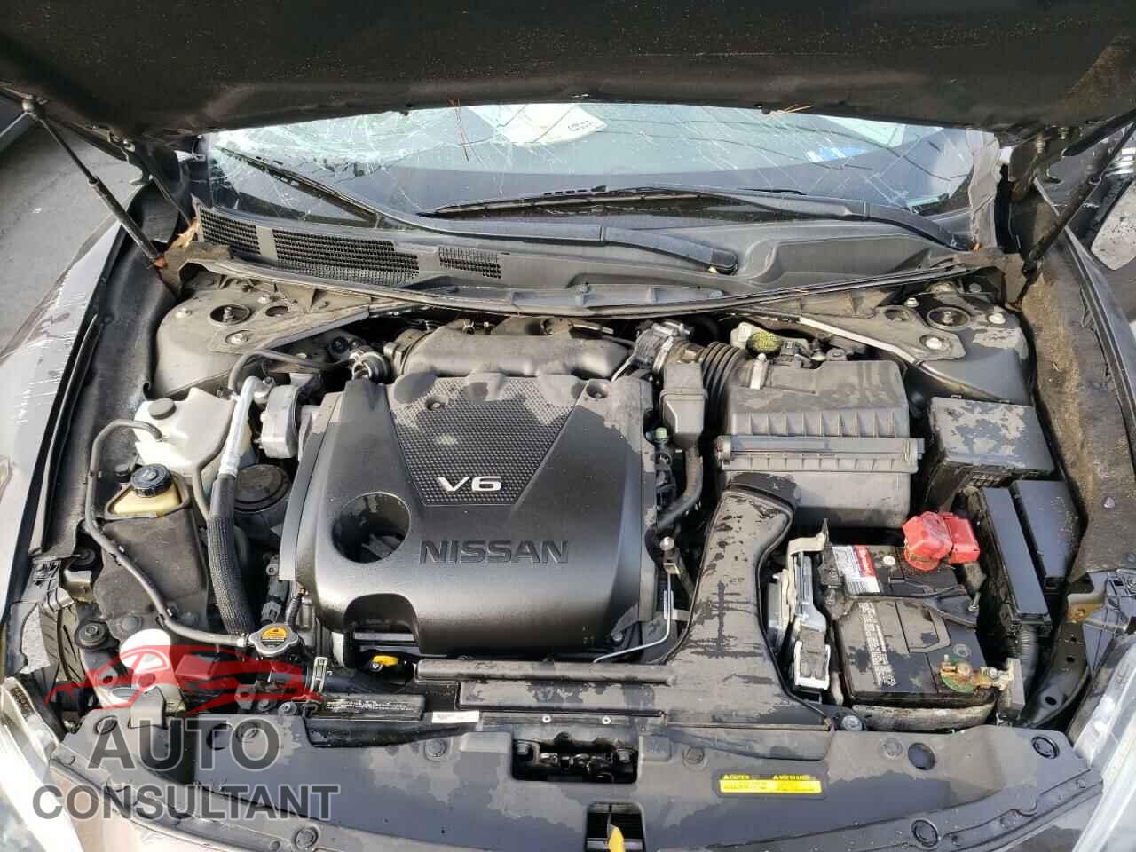NISSAN MAXIMA 2017 - 1N4AA6AP2HC375355