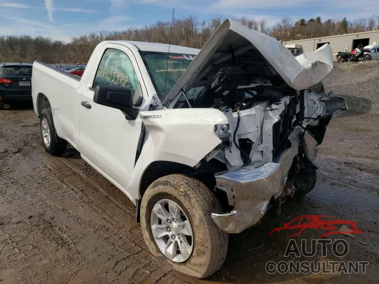 CHEVROLET SILVERADO 2020 - 3GCNWAEF5LG296303