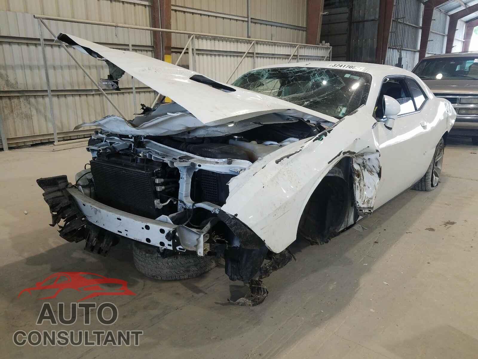 DODGE CHALLENGER 2019 - 2C3CDZAG9KH560586