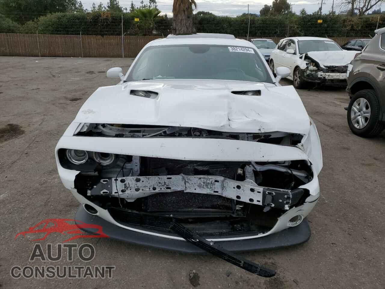 DODGE CHALLENGER 2016 - 2C3CDZFJ9GH289122