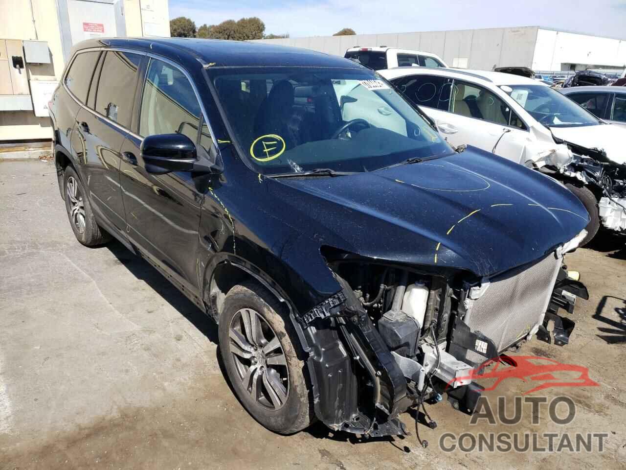 HONDA PILOT 2016 - 5FNYF5H52GB032586