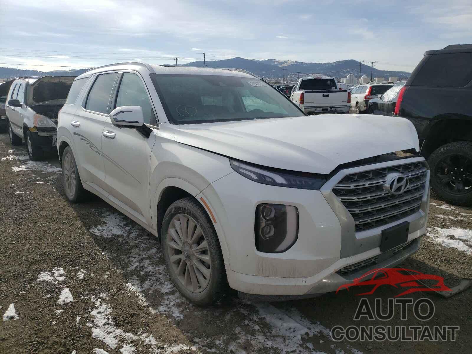 HYUNDAI PALISADE 2020 - KM8R5DHE0LU114010