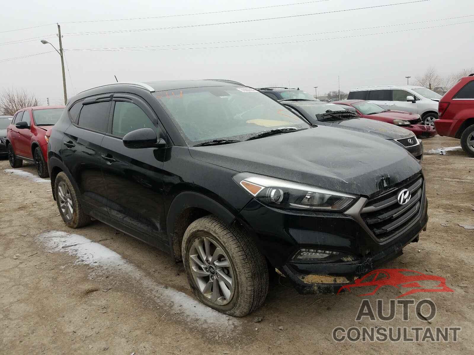 HYUNDAI TUCSON 2016 - KM8J33A45GU216343