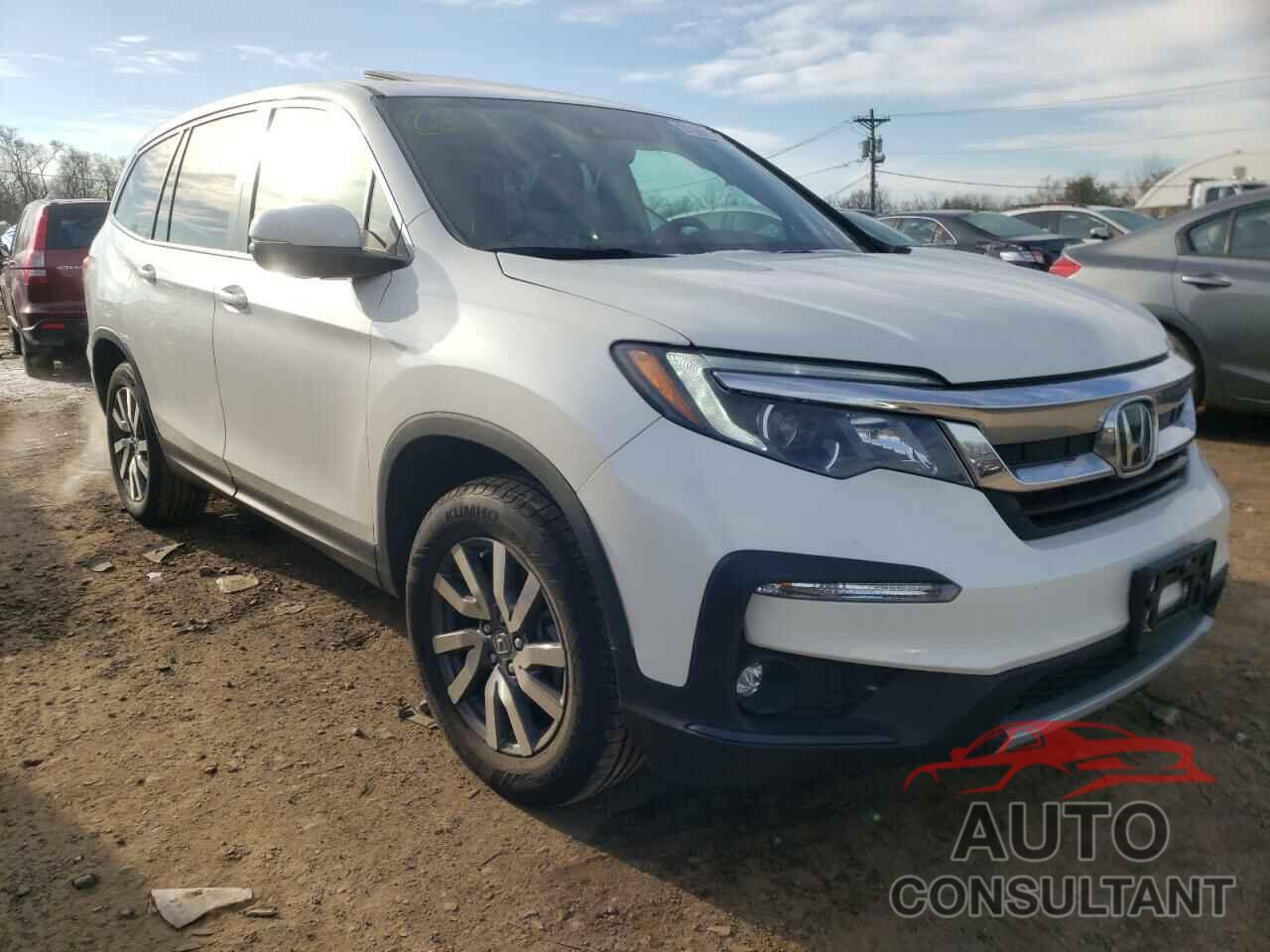 HONDA PILOT 2019 - 5FNYF6H55KB071817