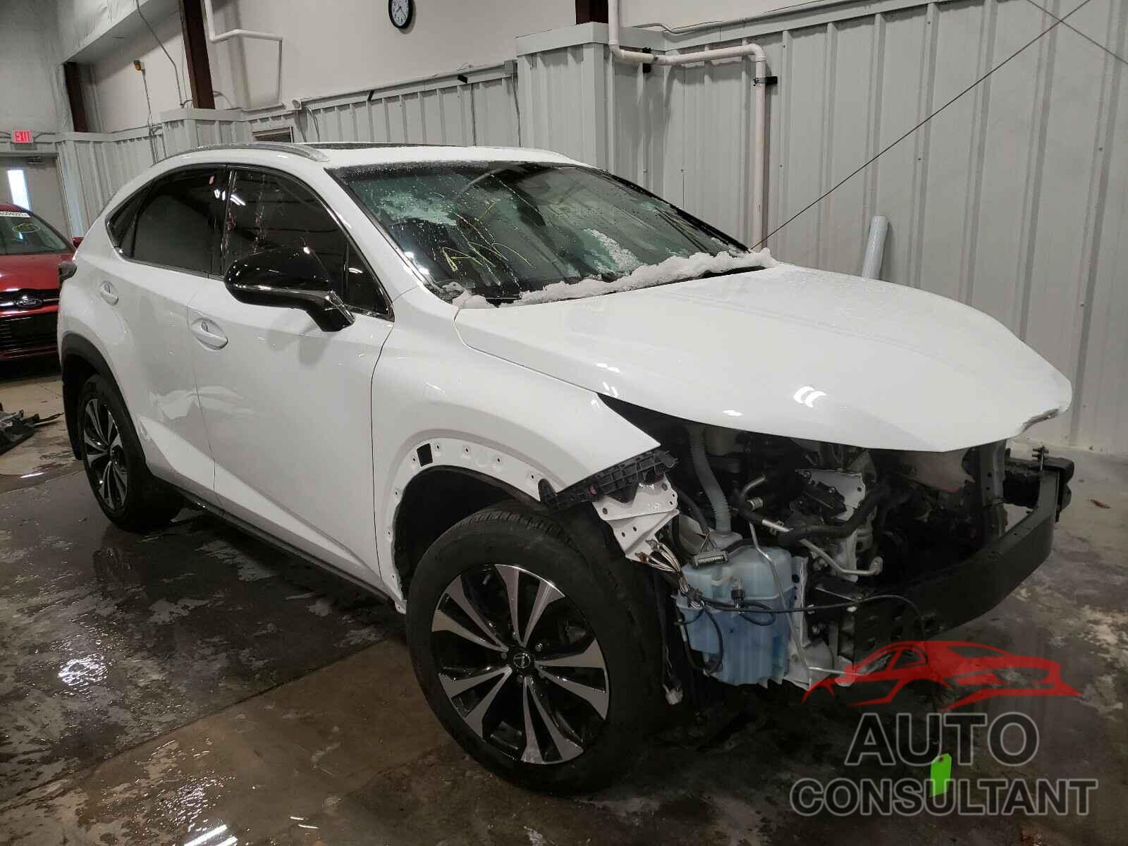 LEXUS NX 2019 - JTJBARBZ4K2179914