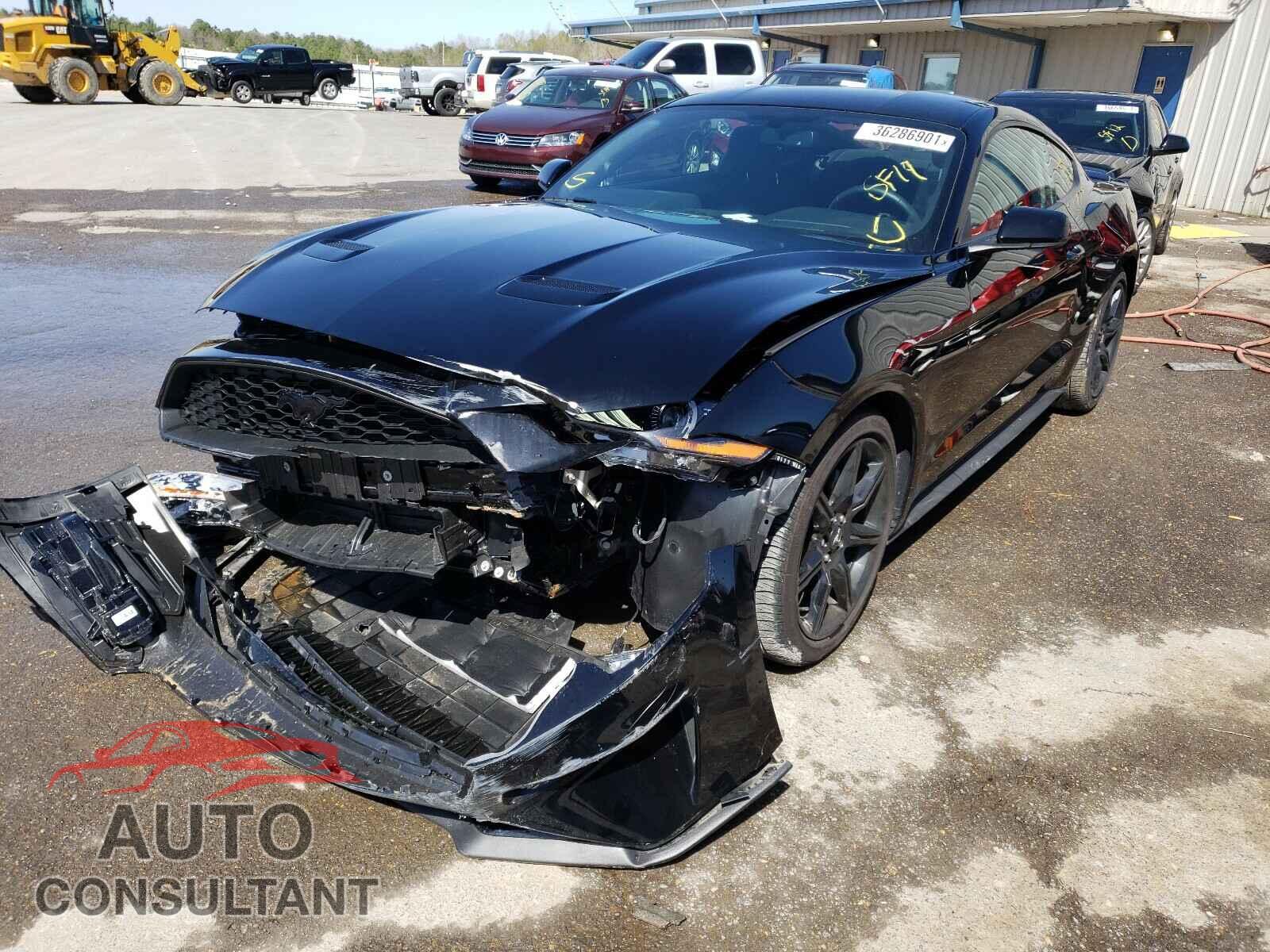 FORD MUSTANG 2019 - 1FA6P8TH1K5195589