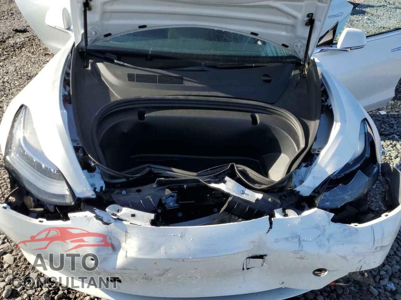TESLA MODEL 3 2020 - 5YJ3E1EA1LF504441