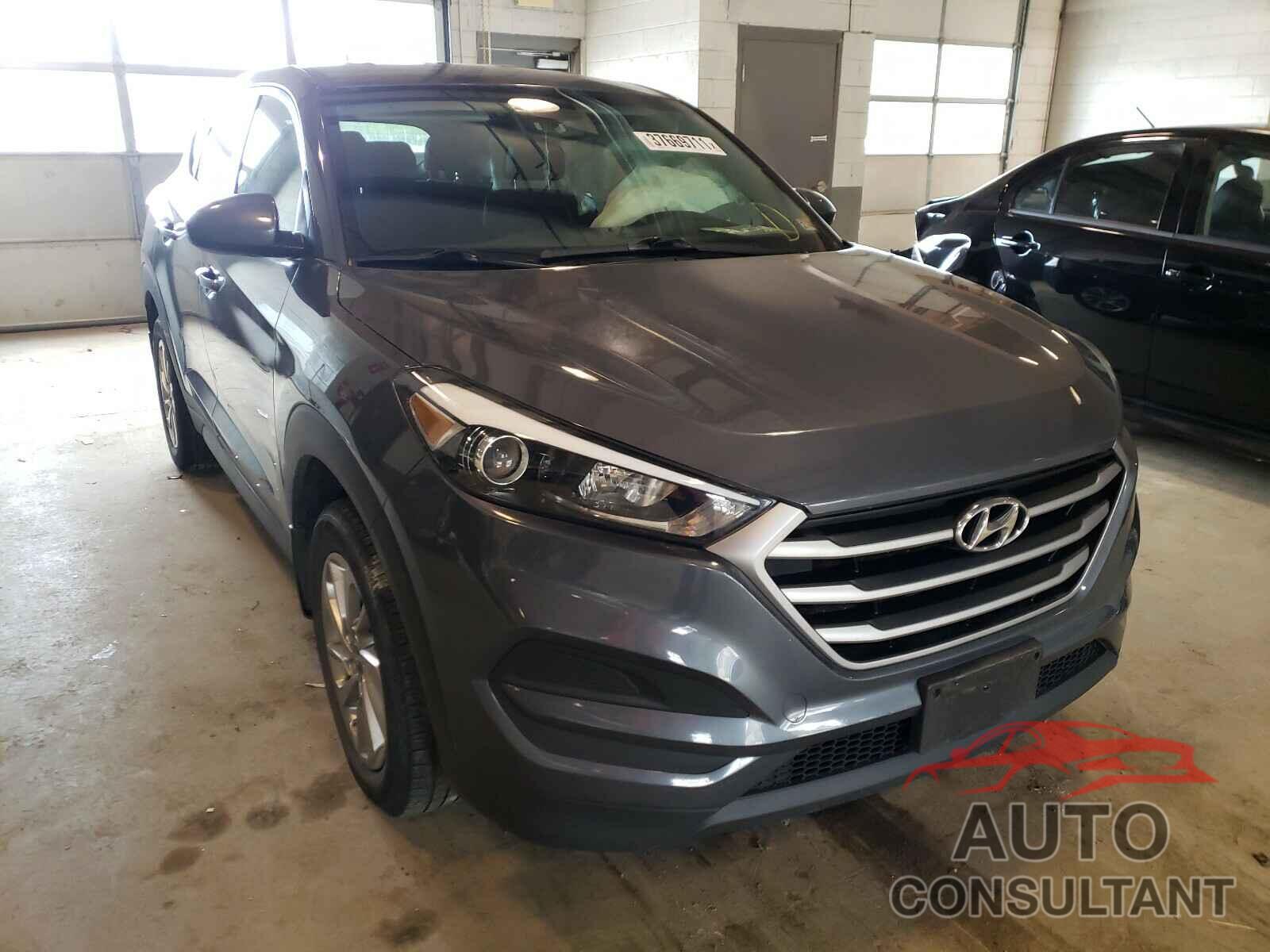 HYUNDAI TUCSON 2017 - KM8J23A47HU415107