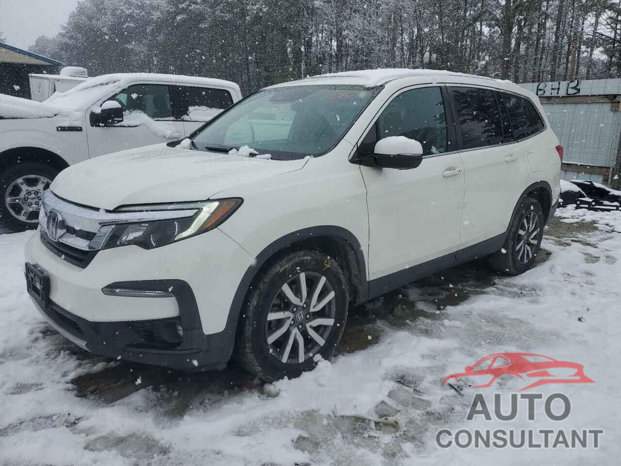 HONDA PILOT 2019 - 5FNYF6H42KB022534