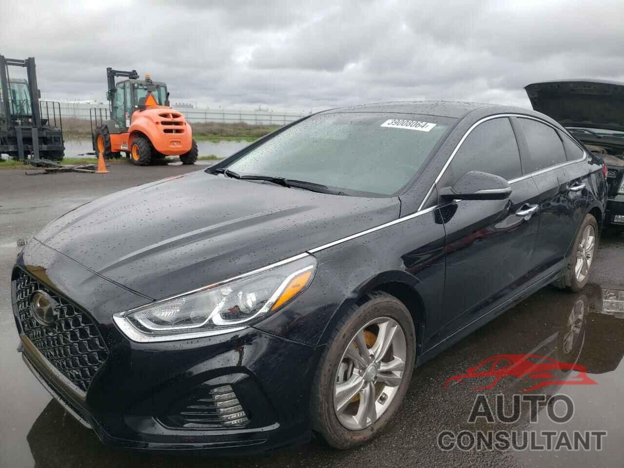 HYUNDAI SONATA 2019 - 5NPE34AF2KH768723