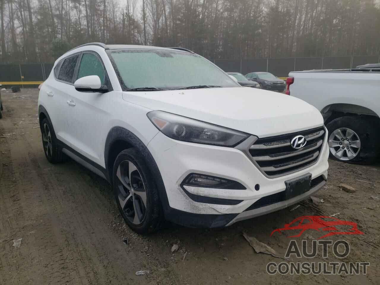 HYUNDAI TUCSON 2017 - KM8J3CA25HU575272