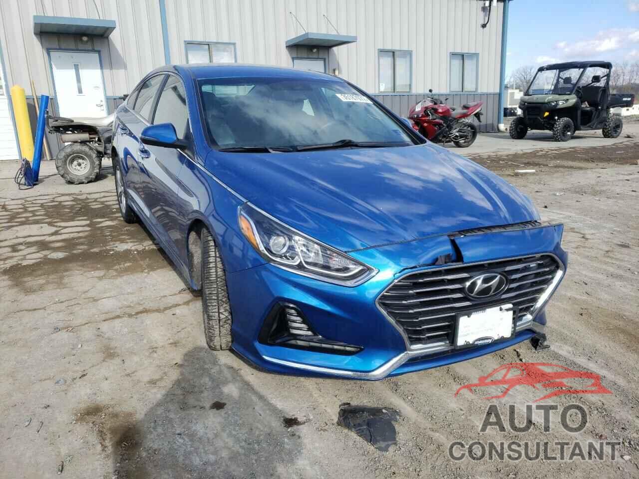 HYUNDAI SONATA 2018 - 5NPE34AF9JH656970