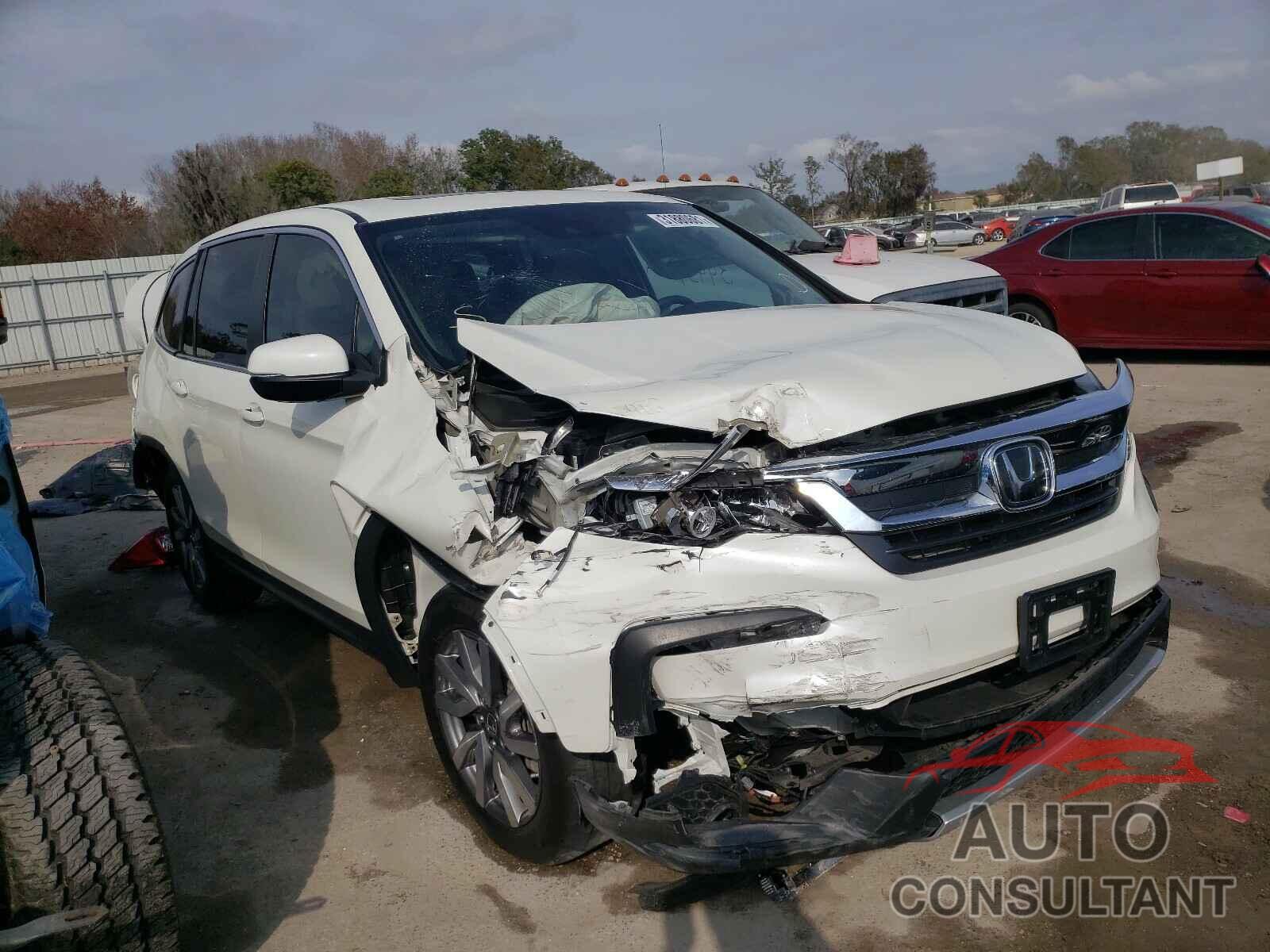 HONDA PILOT 2019 - 5FNYF5H51KB025086