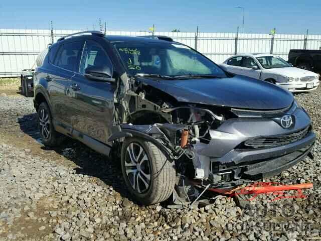 TOYOTA RAV4 2016 - 2T3BFREV1GW504532