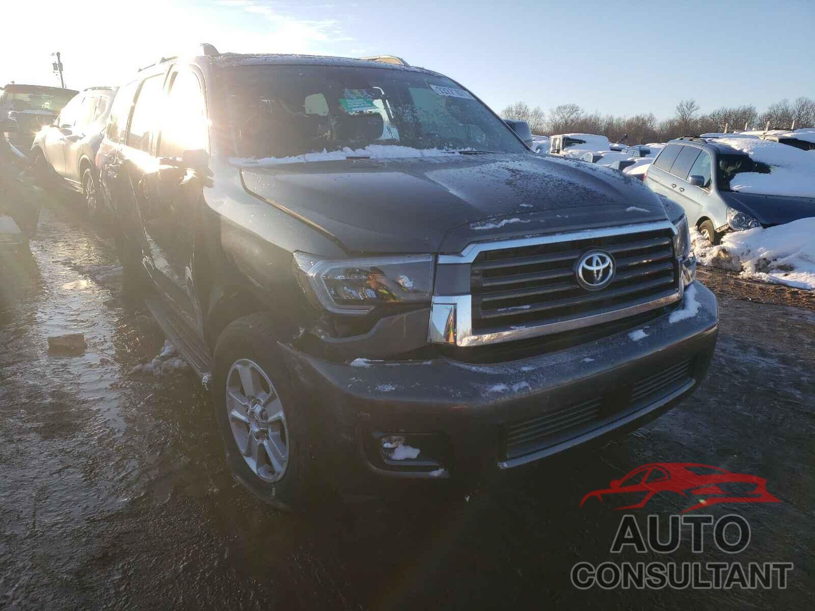 TOYOTA SEQUOIA 2019 - 5TDBY5G14KS170973