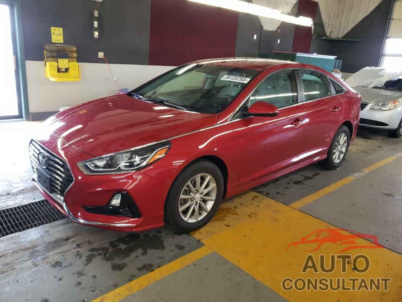 HYUNDAI SONATA 2019 - 5NPE24AF8KH820391