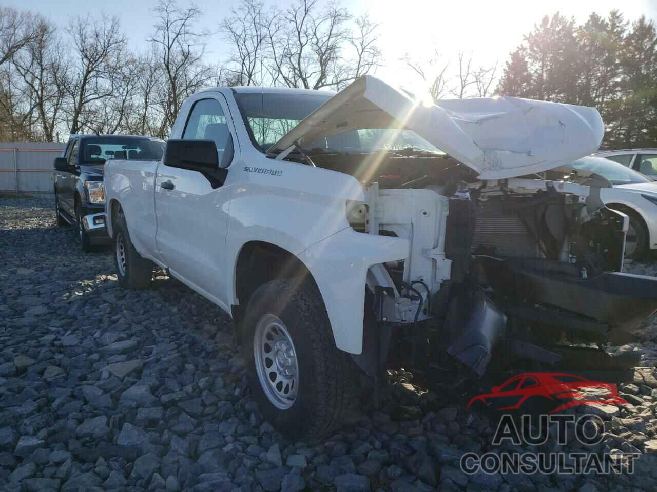 CHEVROLET SILVERADO 2019 - 3GCNYAEFXKG197615
