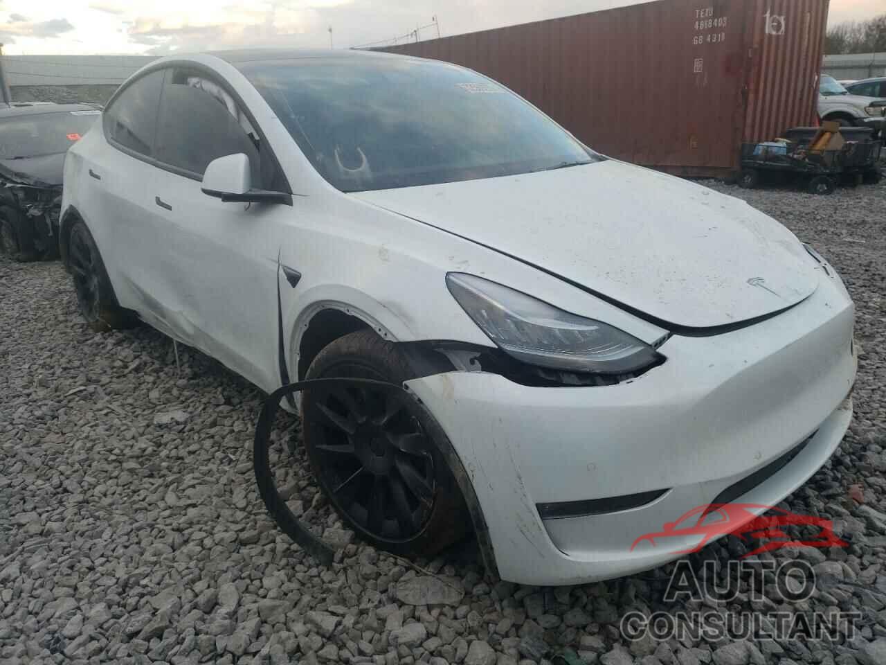 TESLA MODEL Y 2021 - 4T1BD1FK6HU215149