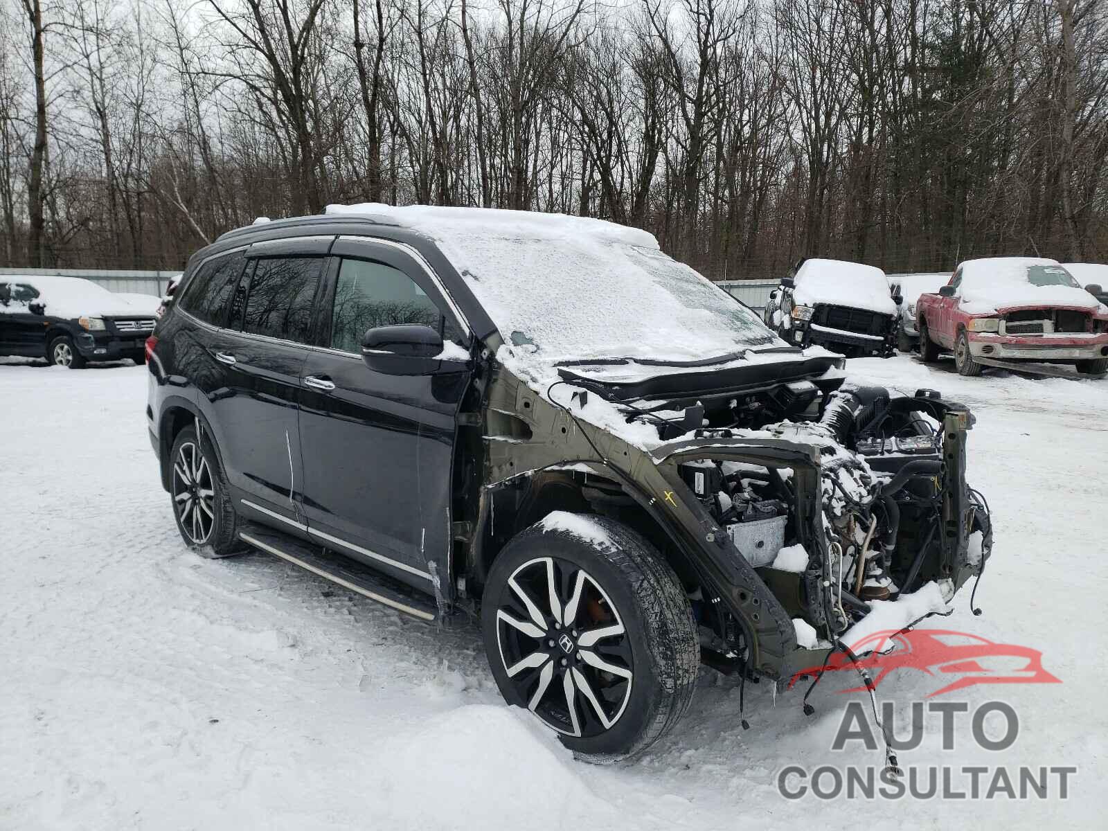 HONDA PILOT 2019 - 5FNYF6H69KB034052