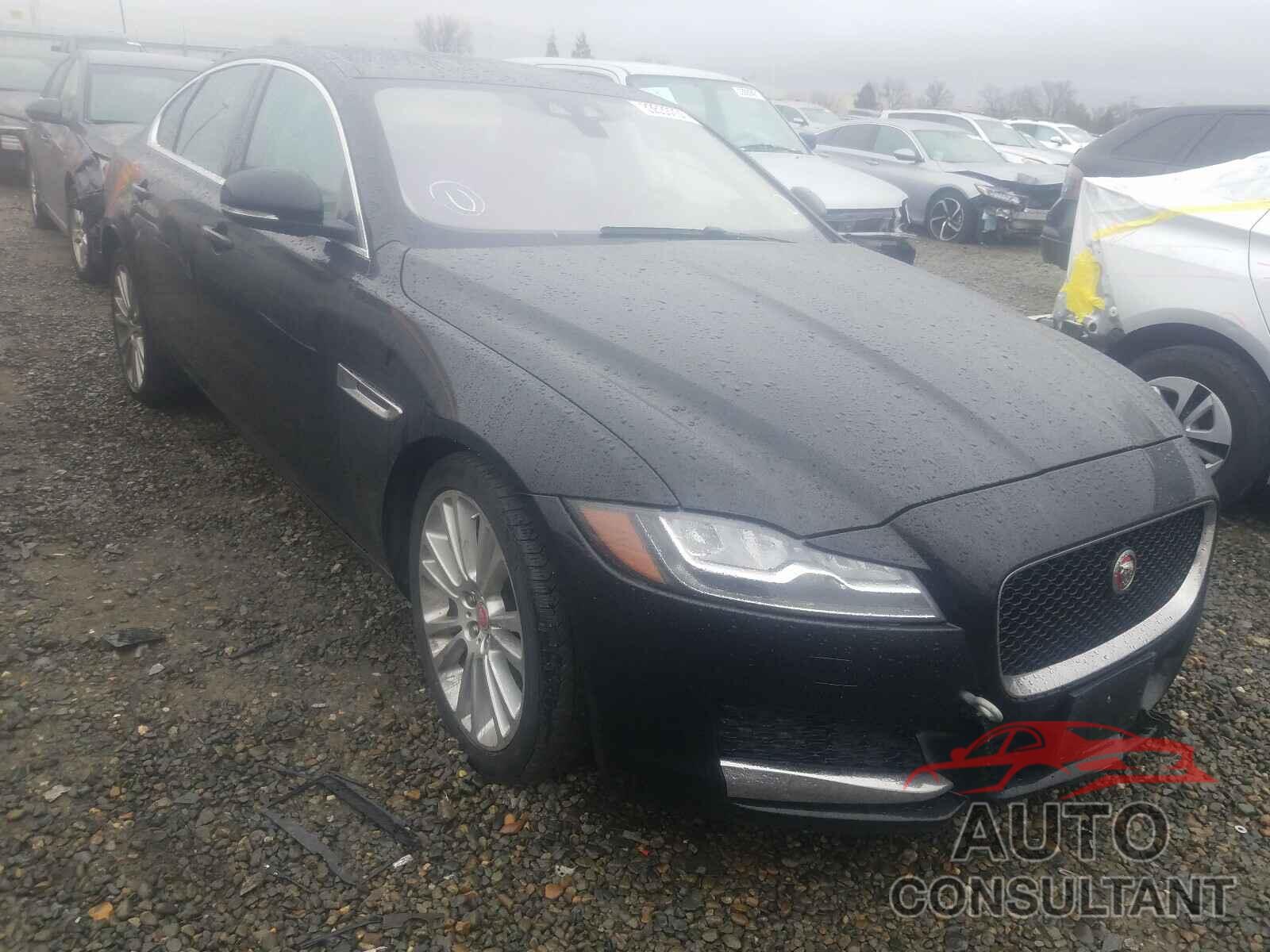 JAGUAR XF 2017 - SAJBE4BN2HCY44563