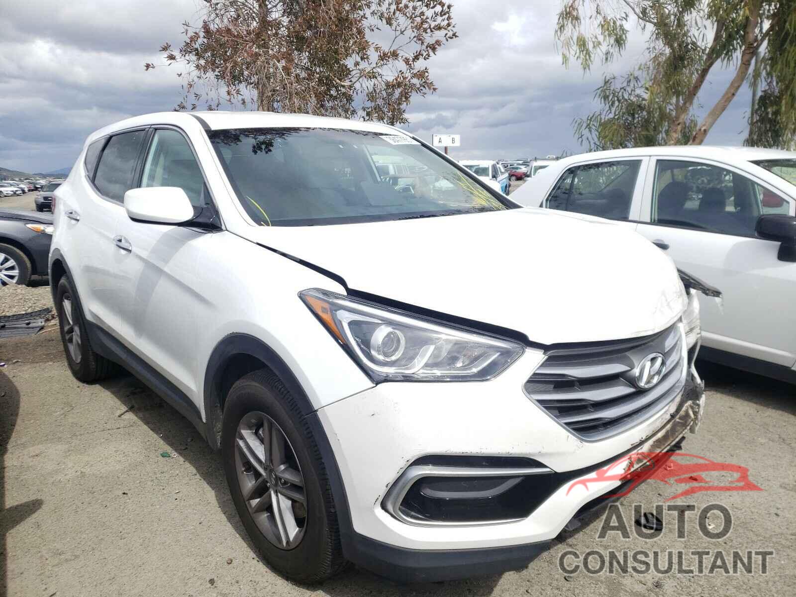 HYUNDAI SANTA FE 2017 - 5NMZT3LBXHH020152
