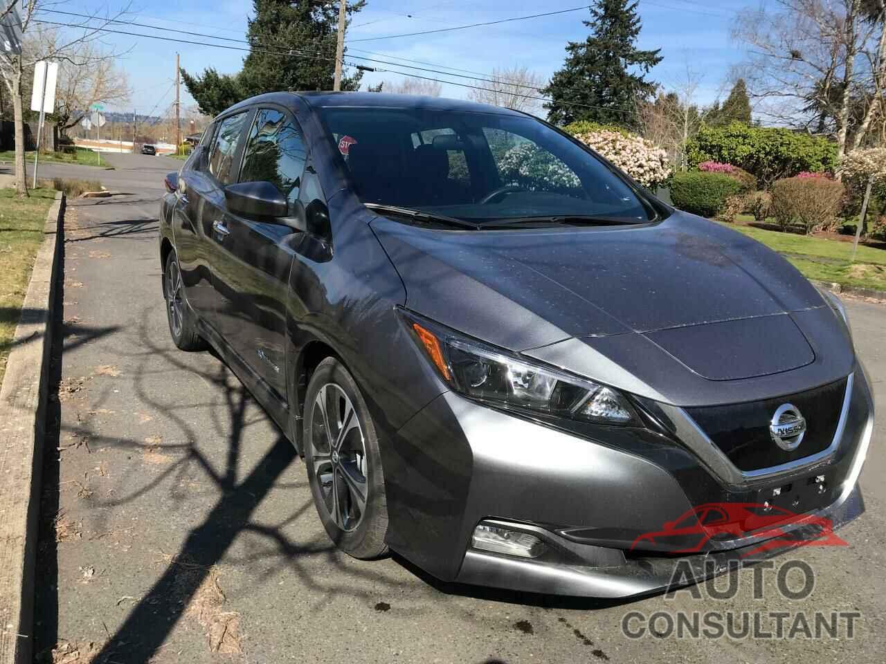 NISSAN LEAF 2019 - 1N4AZ1CPXKC306445