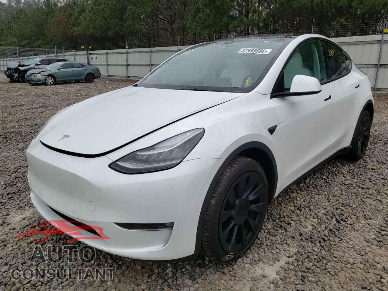 TESLA MODEL Y 2022 - 7SAYGDEE1NF314469