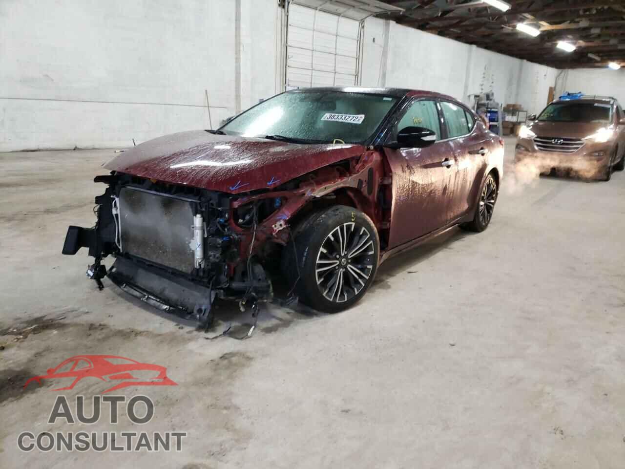 NISSAN MAXIMA 2017 - 1N4AA6AP1HC435707