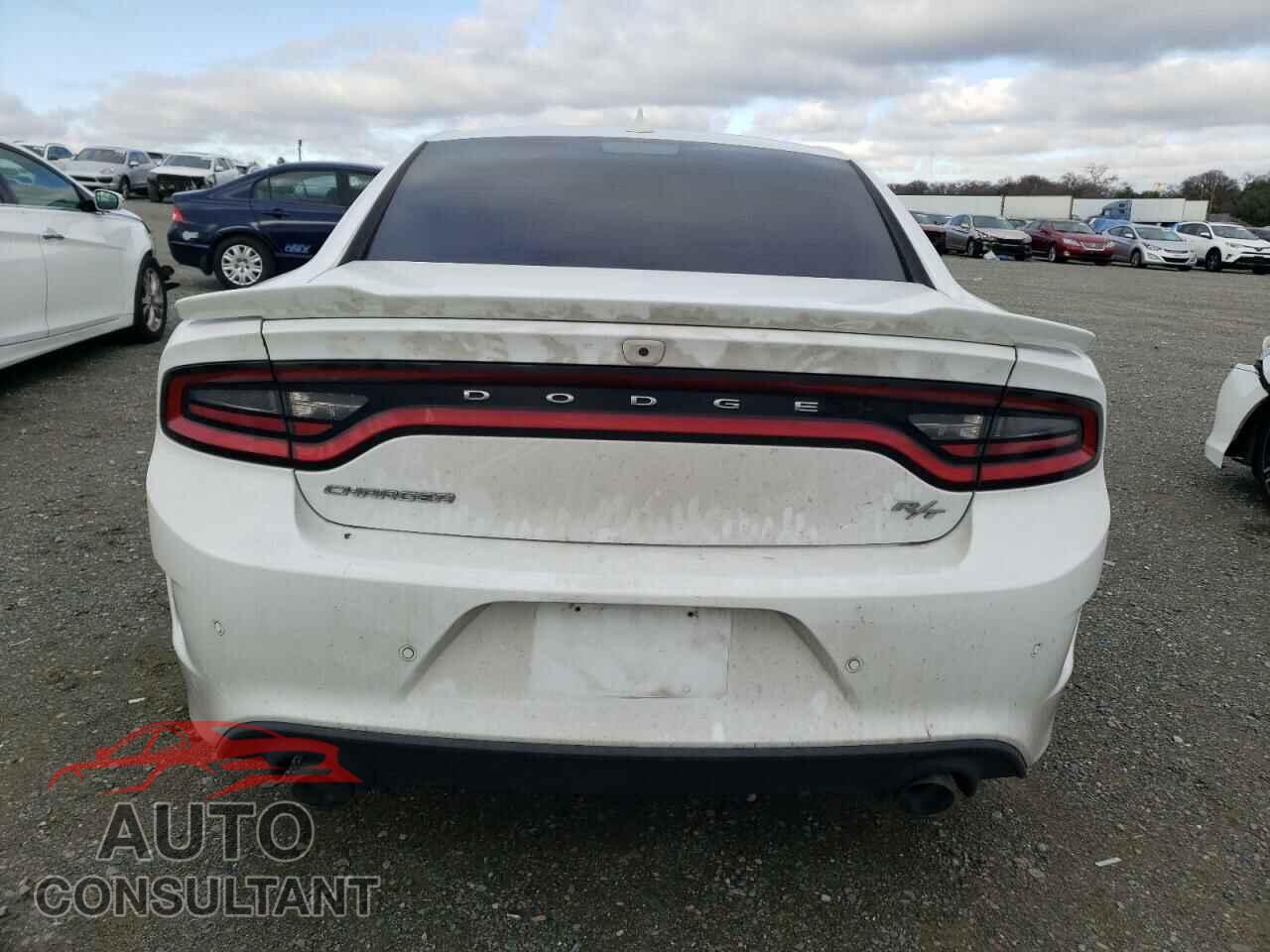 DODGE CHARGER 2019 - 2C3CDXCTXKH757345