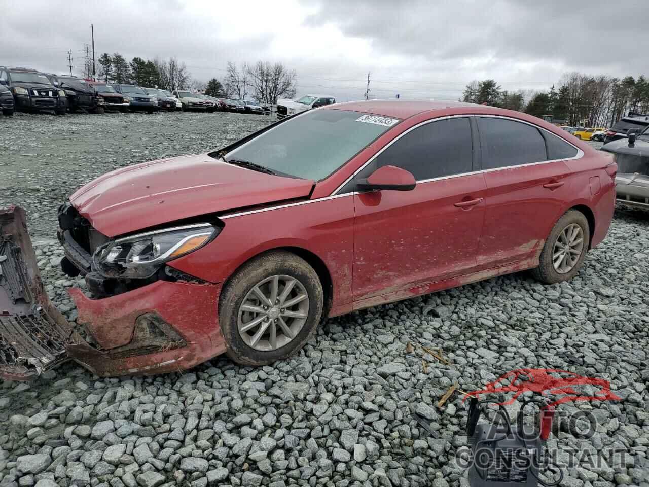 HYUNDAI SONATA 2019 - 5NPE24AF6KH776293