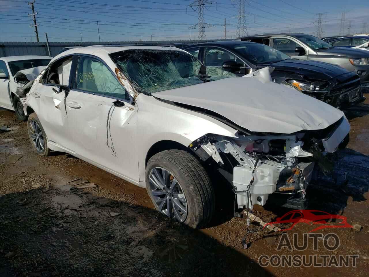 LEXUS ES300 2021 - 58ADA1C1XMU007064