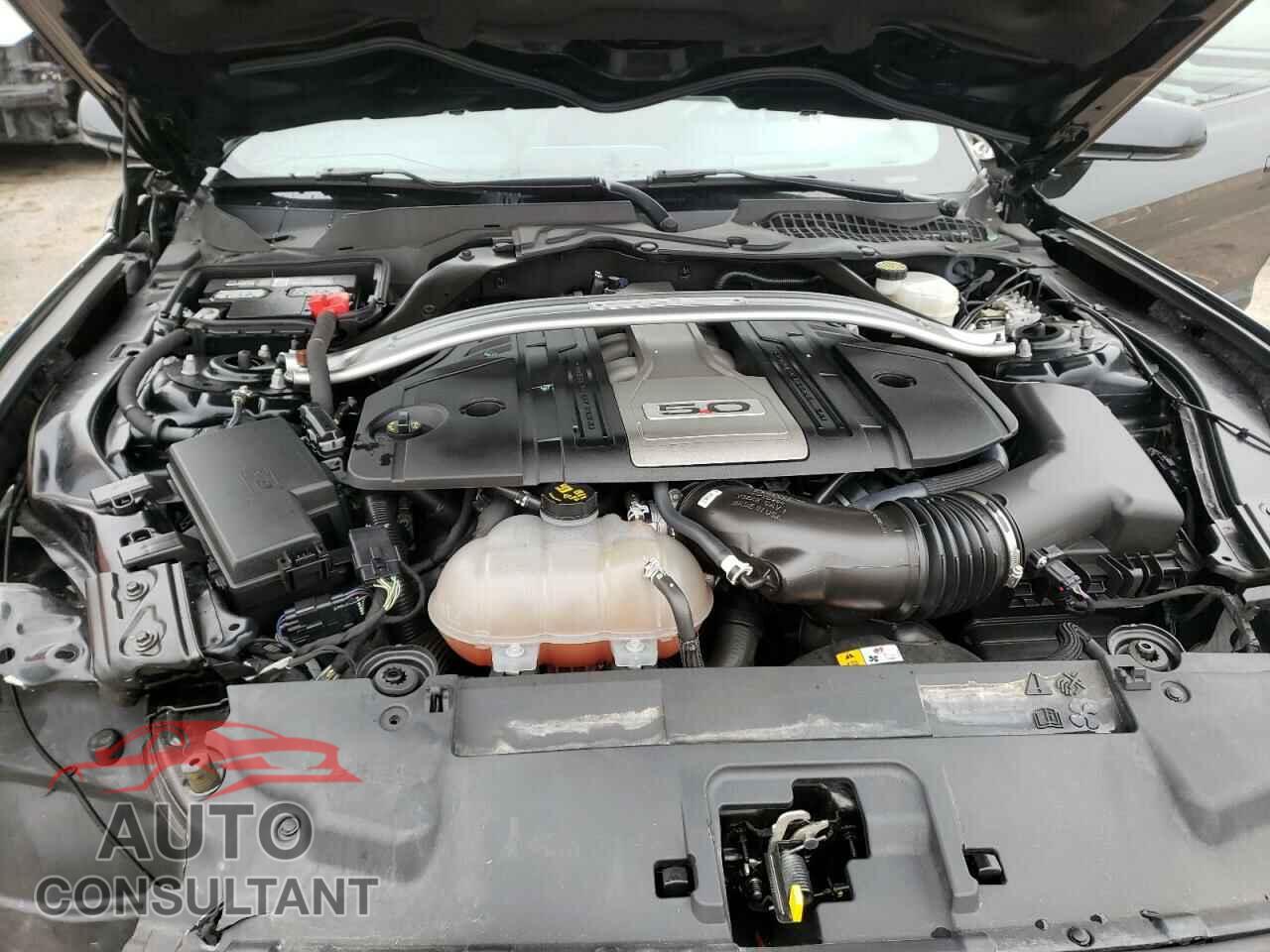 FORD MUSTANG 2018 - 1FA6P8CF9J5103304
