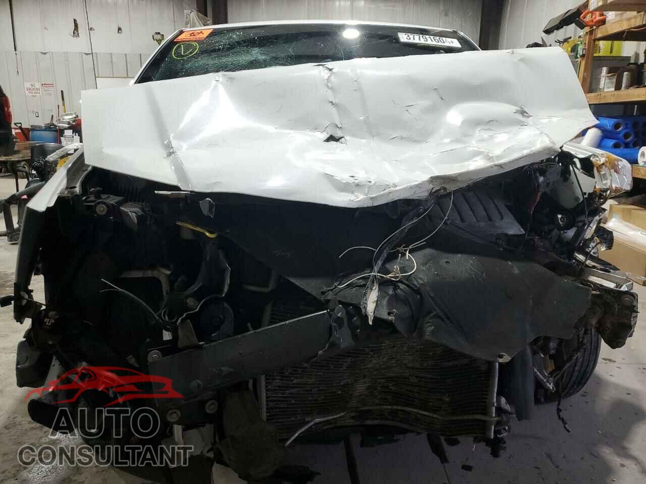 DODGE CARAVAN 2019 - 2C4RDGCG7KR514014