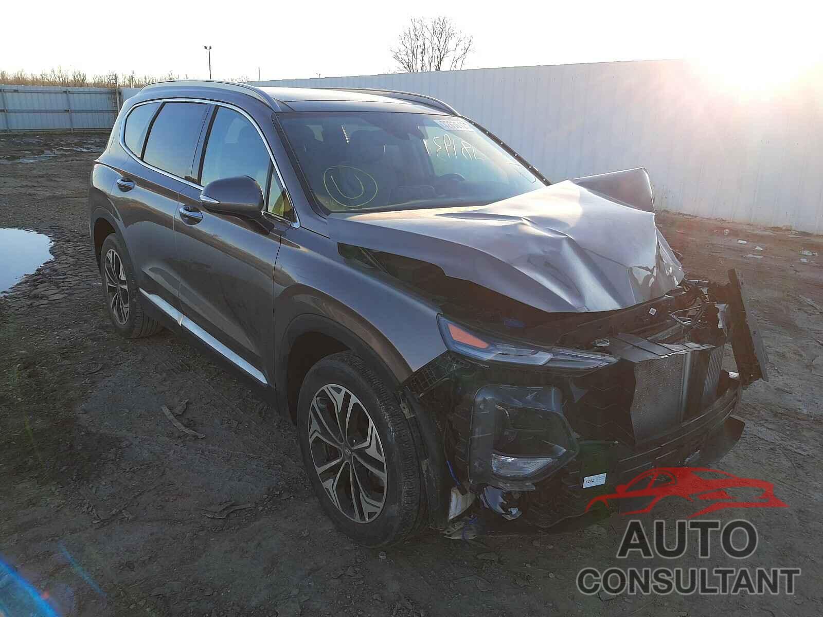 HYUNDAI SANTA FE 2019 - 5NMS53AA5KH013350