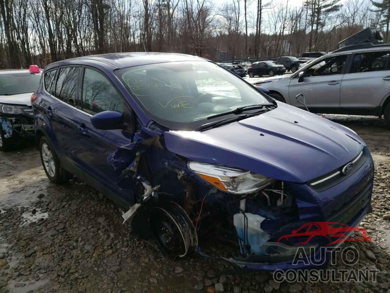 FORD ESCAPE 2016 - 1FMCU9GX7GUC81611