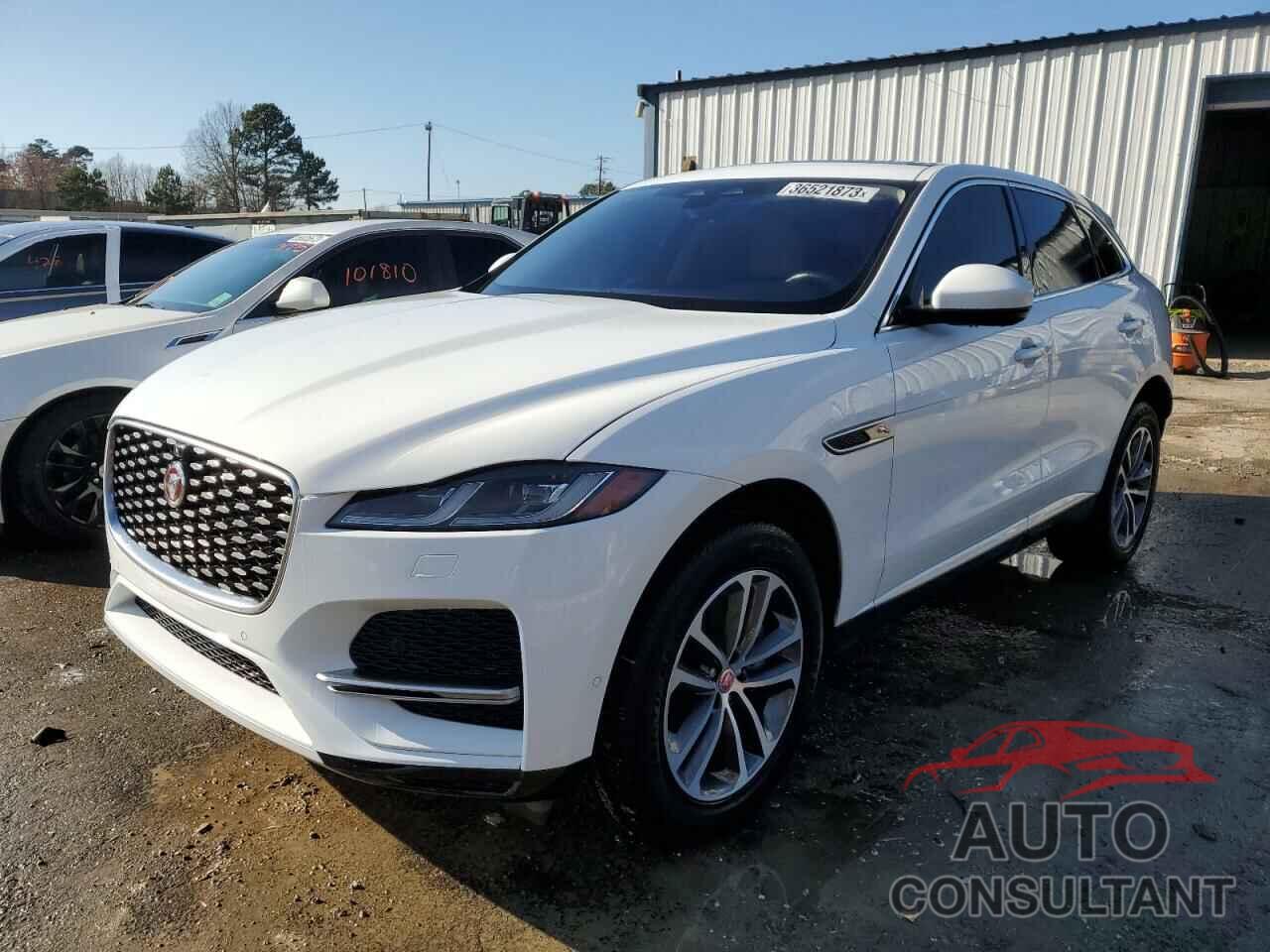 JAGUAR F-PACE 2021 - SADCJ2EX7MA669513