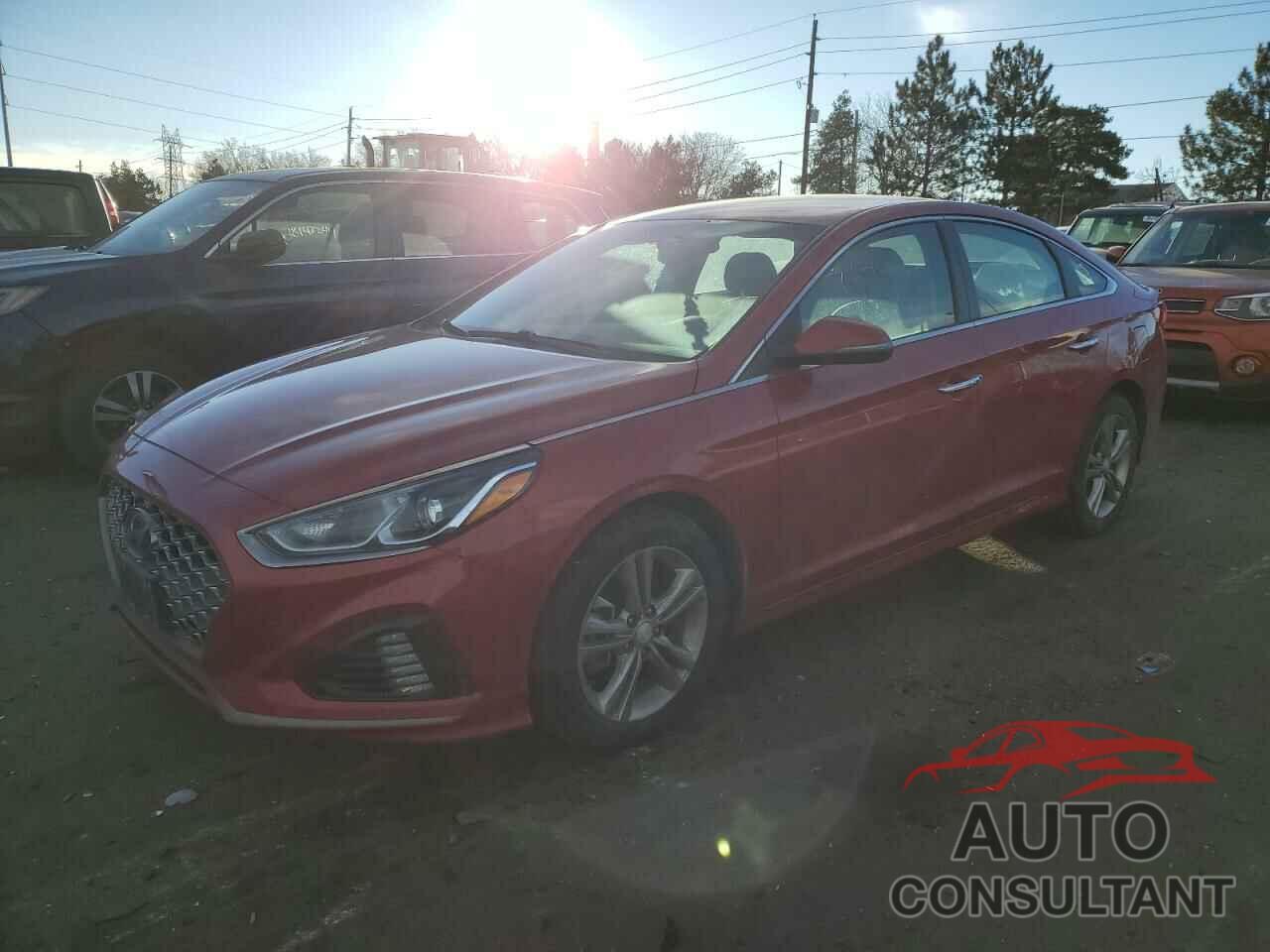 HYUNDAI SONATA 2019 - 5NPE34AF7KH767986