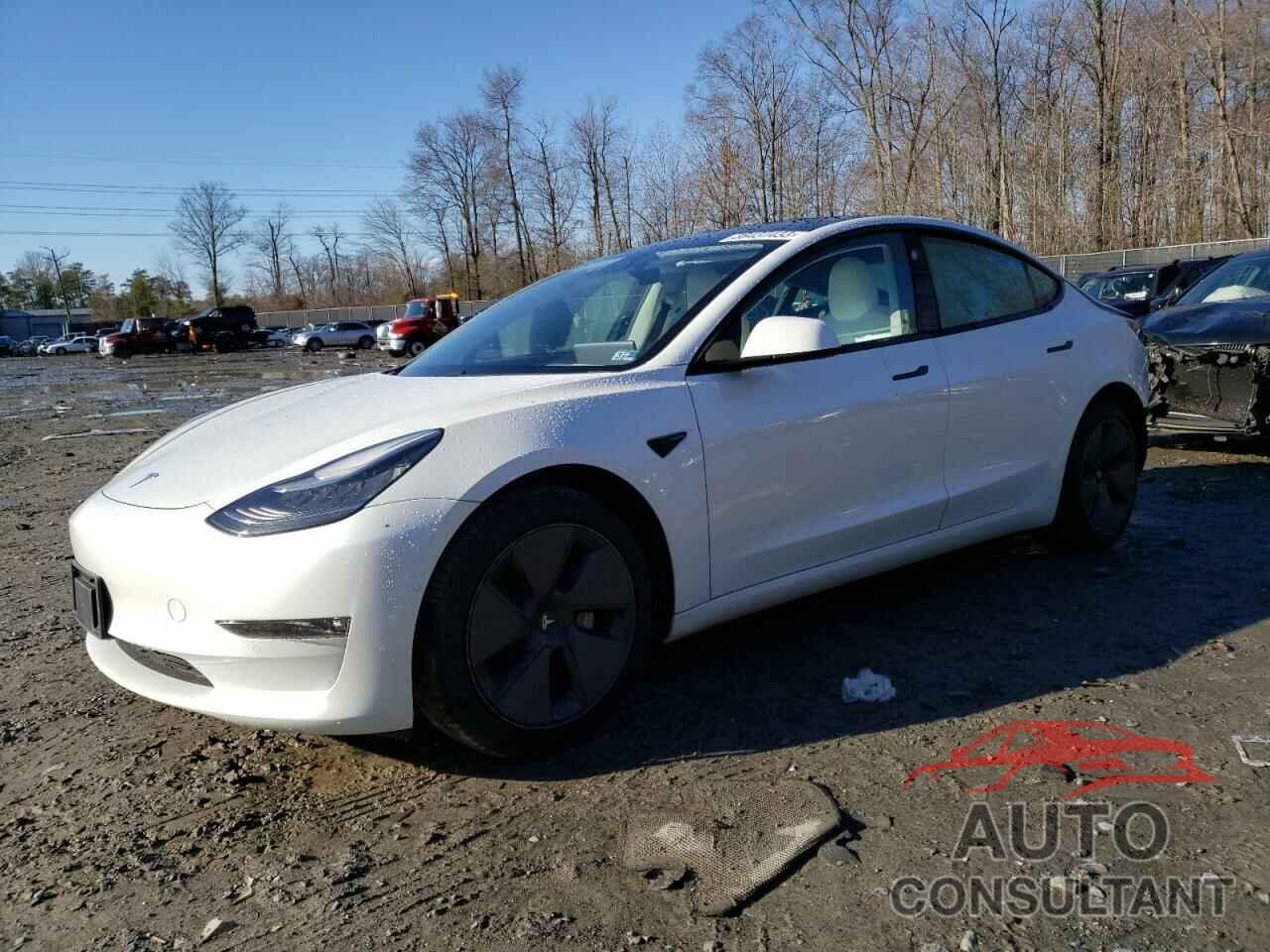TESLA MODEL 3 2021 - 5YJ3E1EB0MF860292
