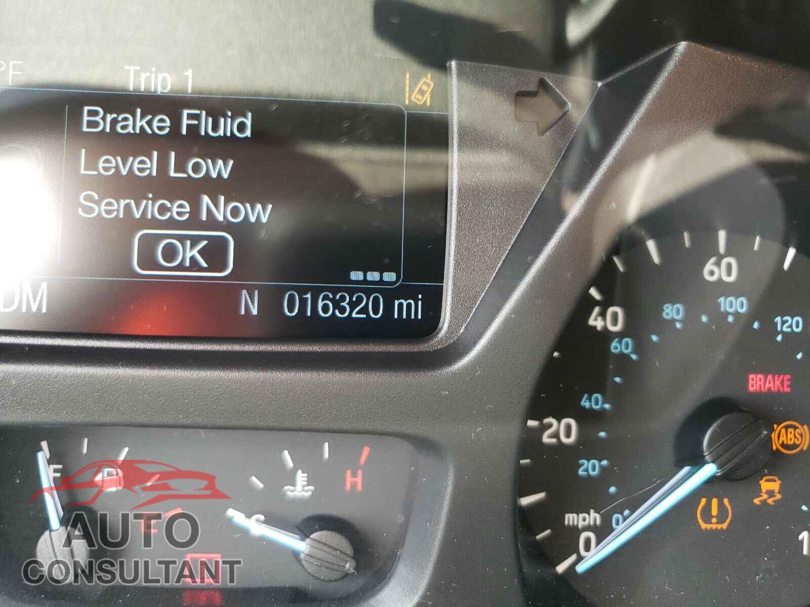 FORD TRANSIT CO 2019 - 1FBAX2CG0KKB02477