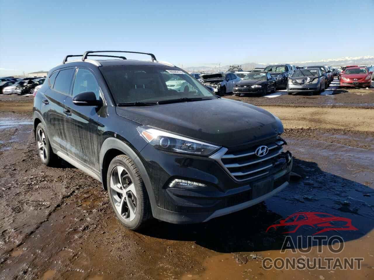 HYUNDAI TUCSON 2017 - KM8J3CA20HU295890