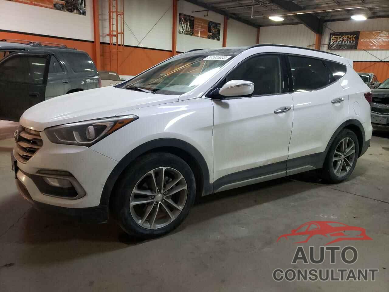 HYUNDAI SANTA FE 2017 - 5XYZUDLA3HG456149