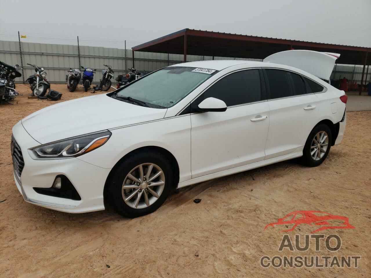 HYUNDAI SONATA 2019 - 5NPE24AF2KH741508