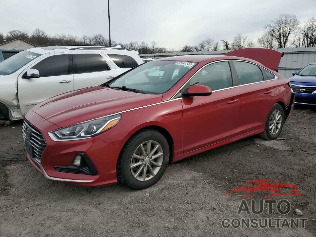 HYUNDAI SONATA 2018 - 5NPE24AF8JH604913
