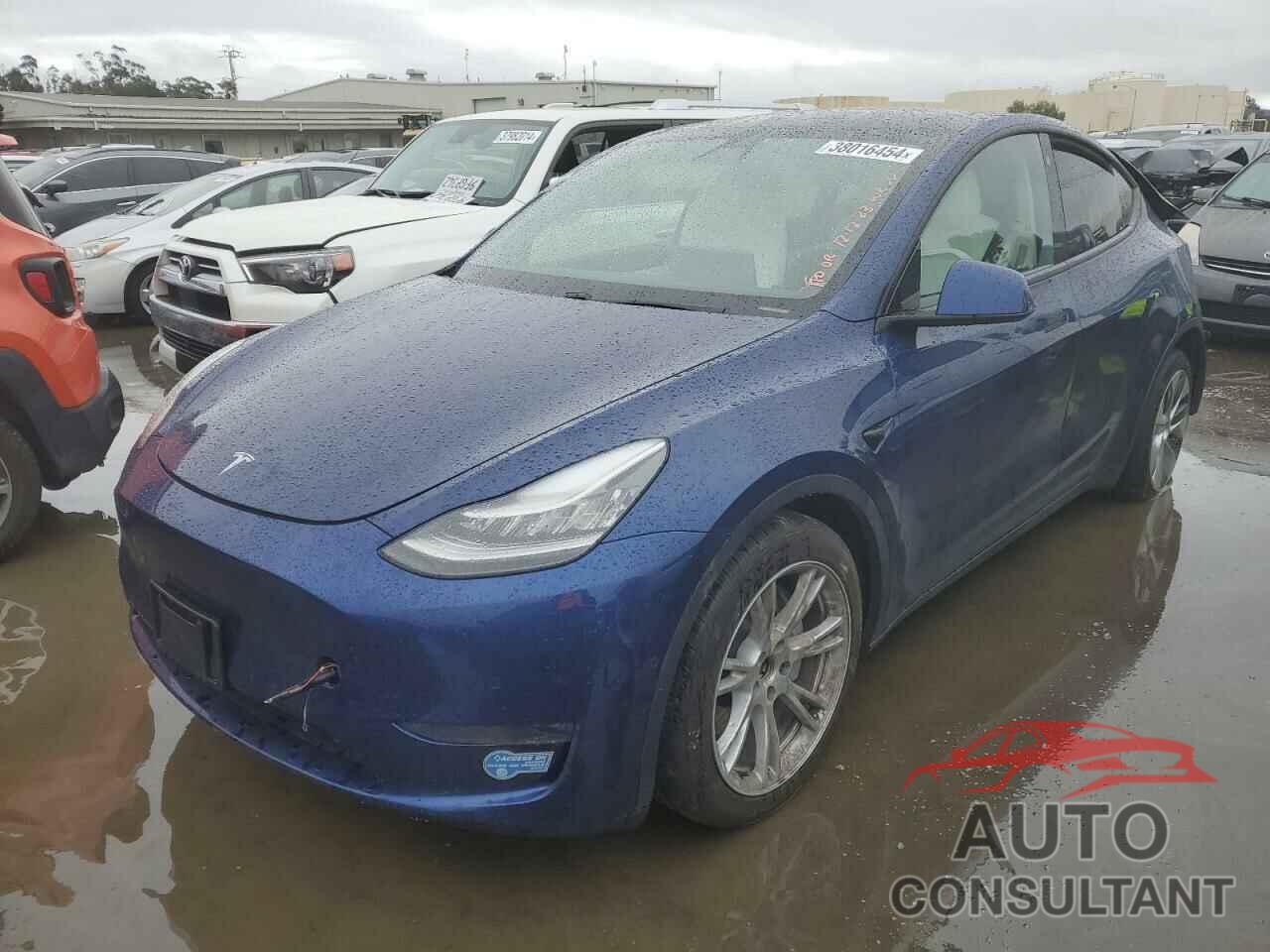 TESLA MODEL Y 2021 - 5YJYGDEE9MF075989